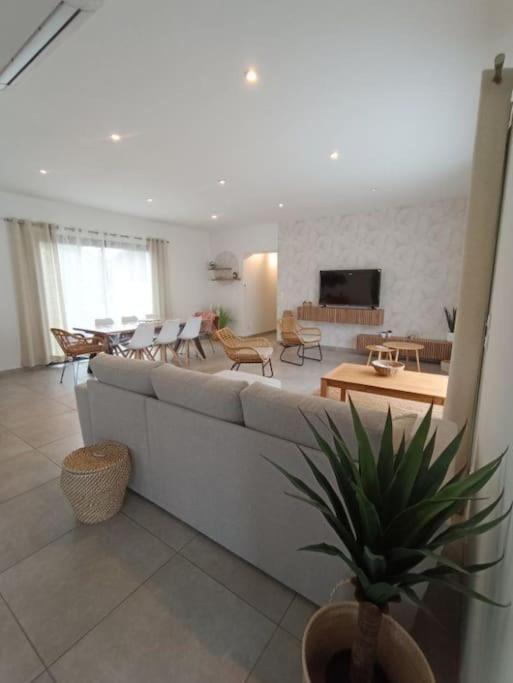 Villa Des Rives Du Tarn Avec Jacuzzi Montans Bagian luar foto