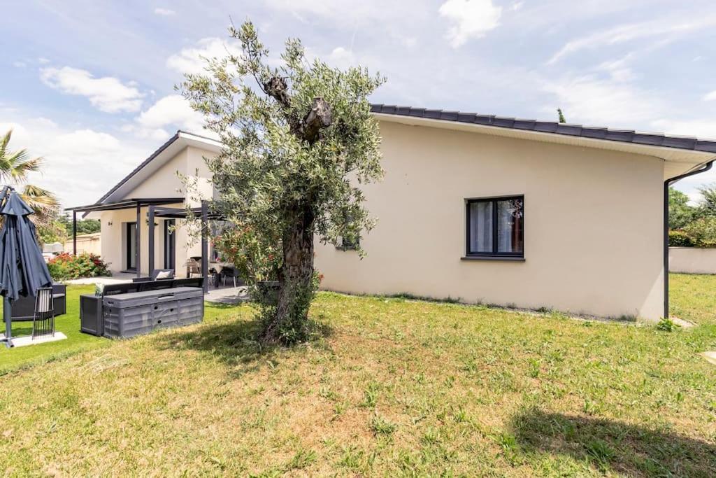 Villa Des Rives Du Tarn Avec Jacuzzi Montans Bagian luar foto